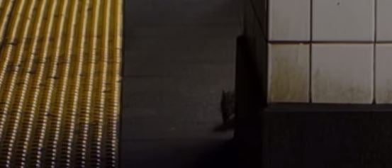 NYC Subway Rat Attacks Reporter Who Catches It On Camera