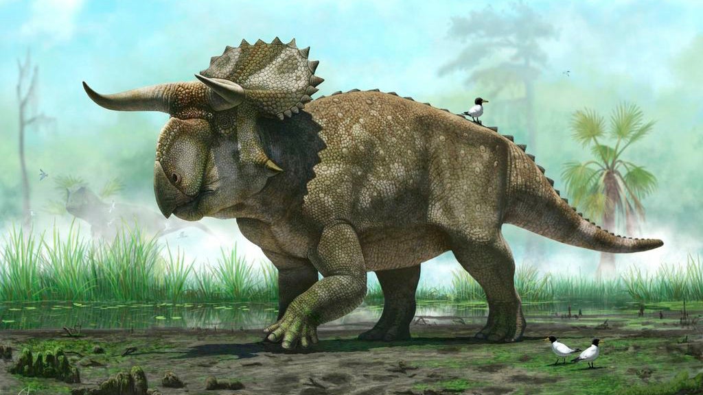 BigNosed, HornedFaced Dinosaur Unearthed in Utah