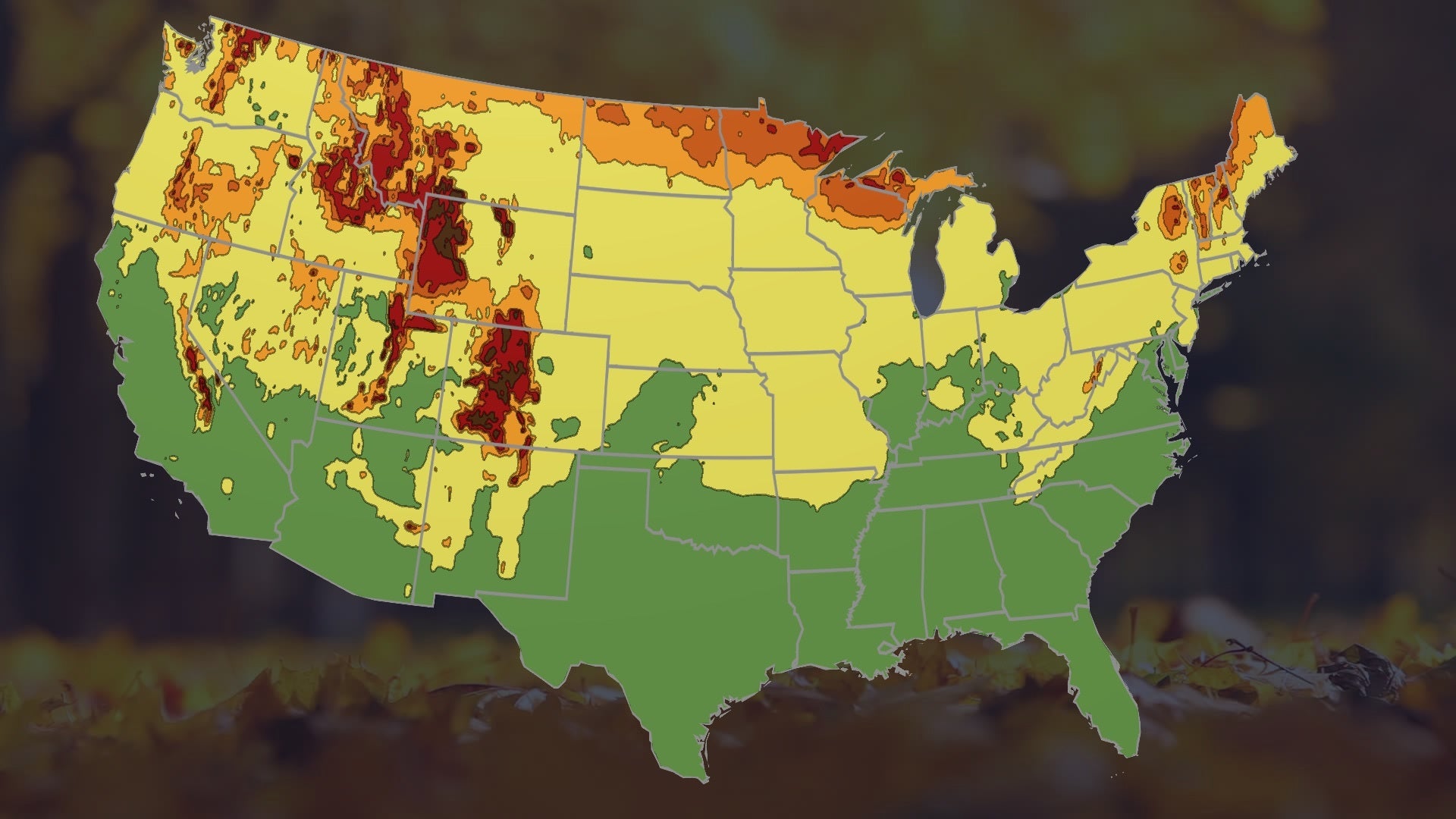 Leaves Are Starting To Pop Across Portions Of US