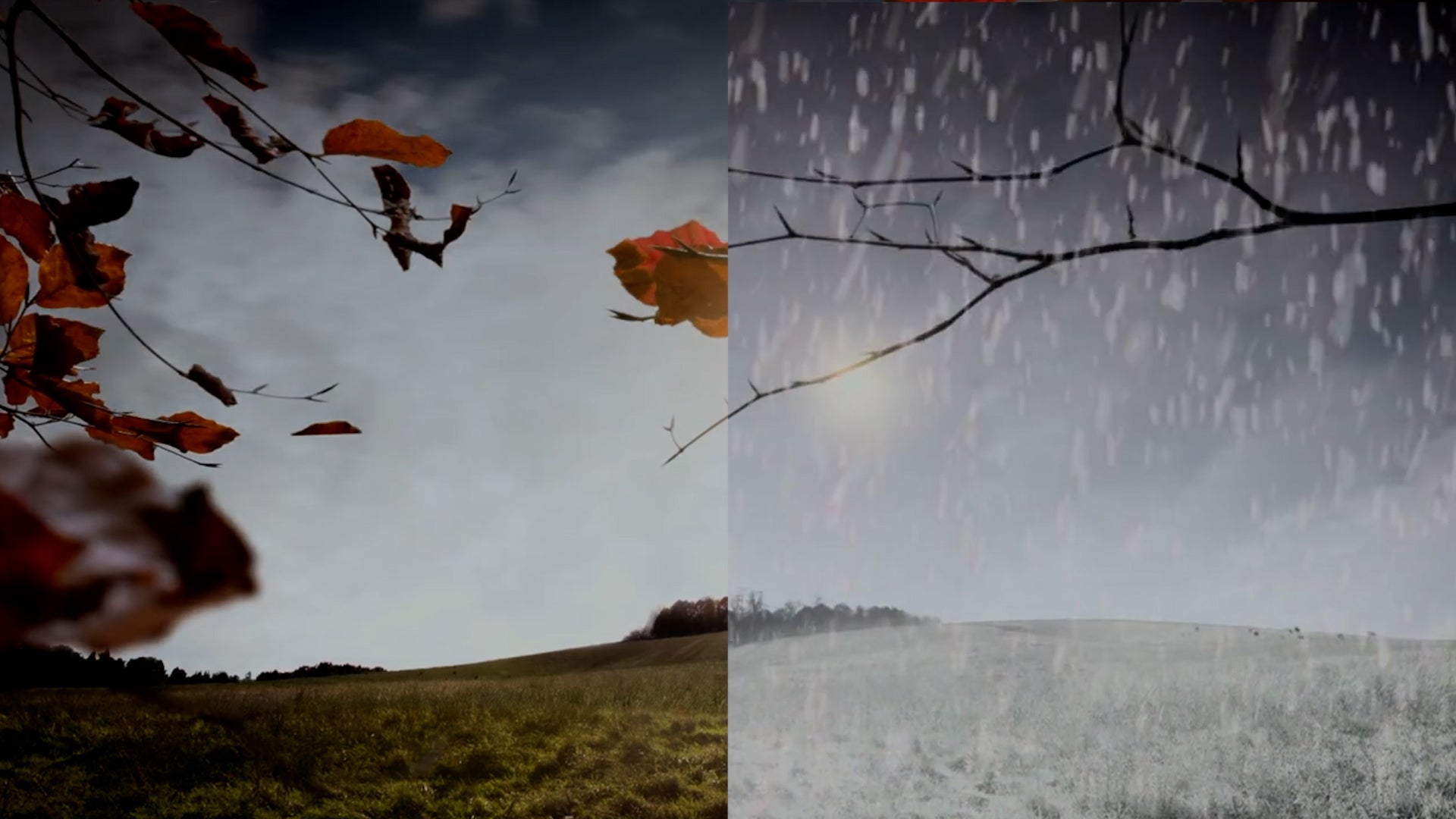 Why You Should Get Ahead Of Winter Blues In The Fall