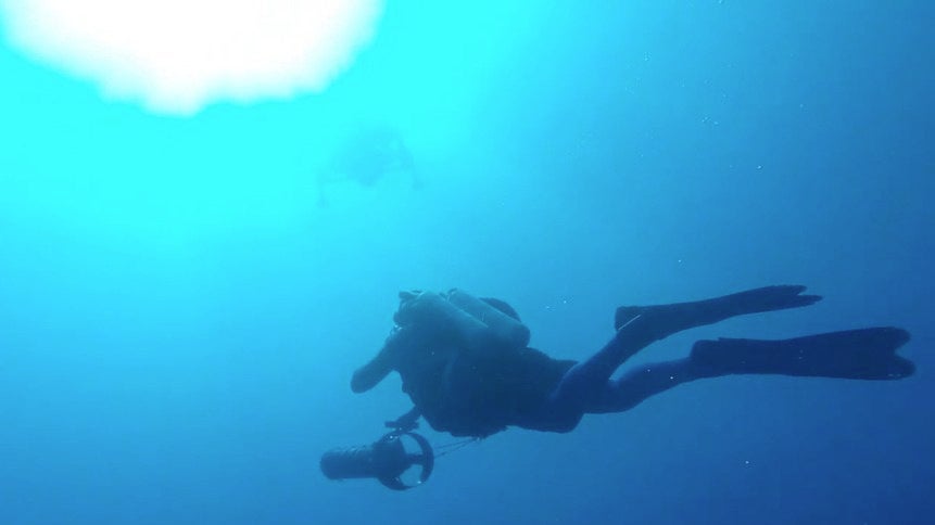 Divers Explore Mysterious &lsquo;Green Banana&rsquo; Sinkhole off Florida Coast
