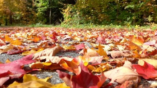 Braking Distance Depends On The Weather