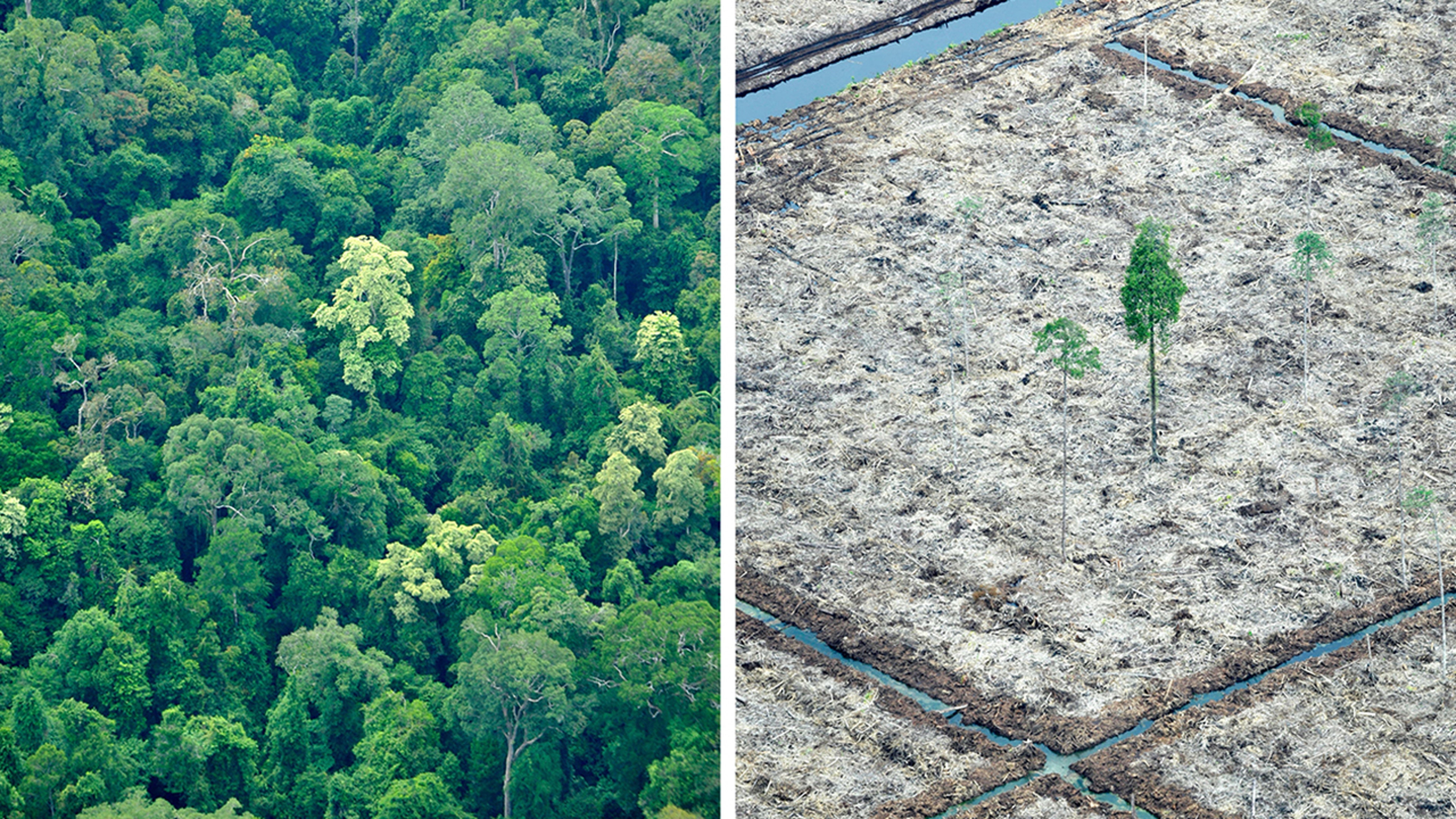 Kalimantan, Indonesia