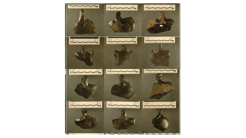 Easter Island Artifacts May Prove Ancient Theory Wrong, Scientists Say ...