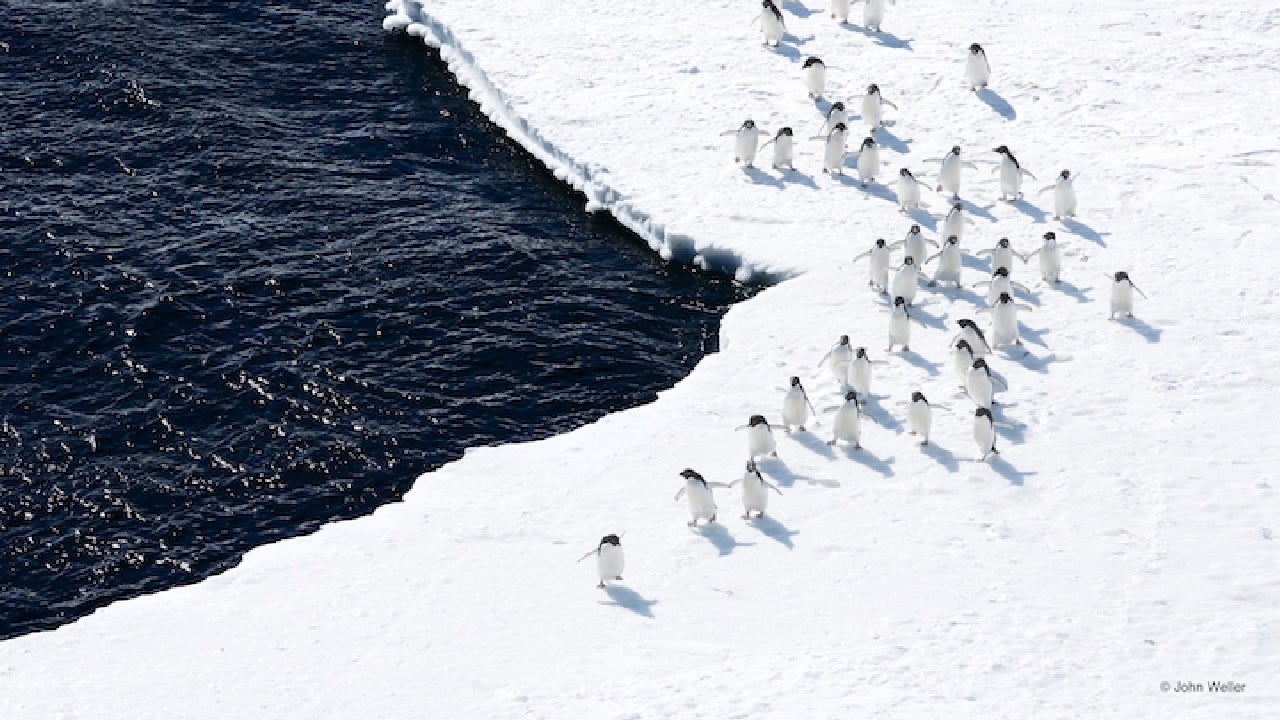 World’s New Marine Protected Area is a Big Climate Win | The Weather
