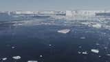 Sloth Tracks Reveal History of Human Hunters - Videos from The Weather ...