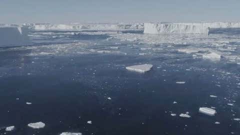 Sloth Tracks Reveal History of Human Hunters - Videos from The Weather ...