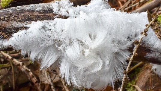 The Mystery Behind Frost Flowers