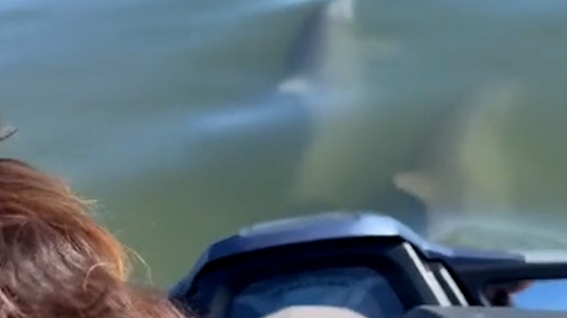 Pup Spots Dolphin Pod On Jet Ski