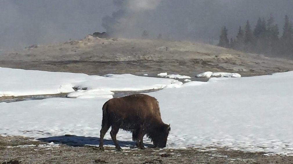 5 Must-See National Parks in Winter