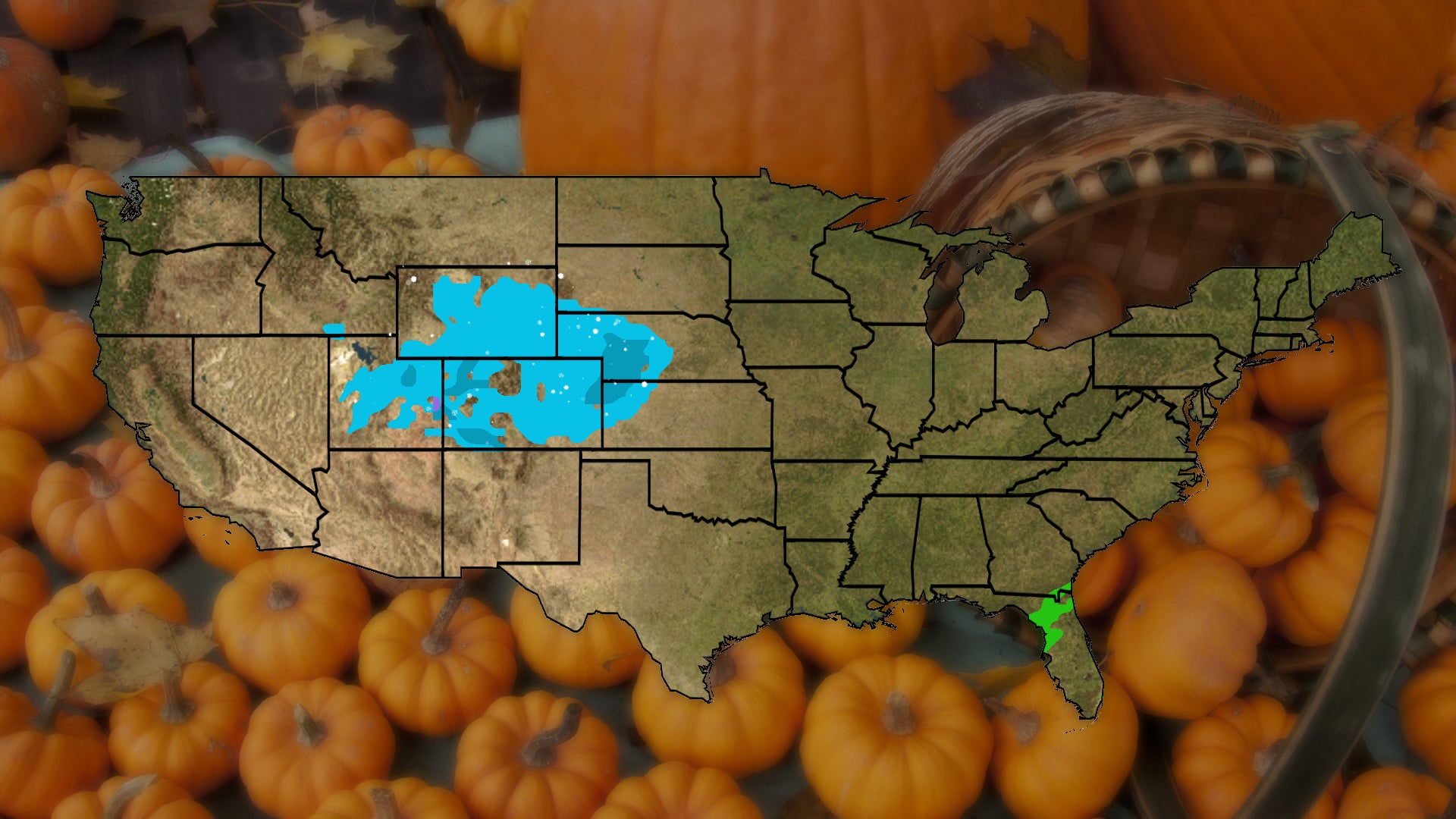 Thanksgiving Forecast: What To Expect Through This Weekend