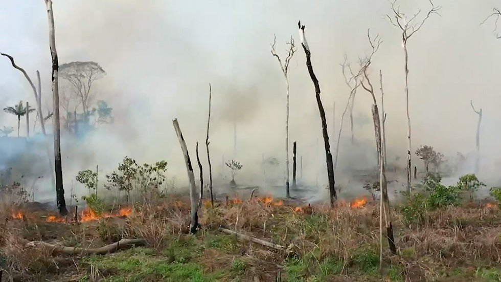 Amazon Rainforest Drying Out Due to Human Activity, Study Finds The