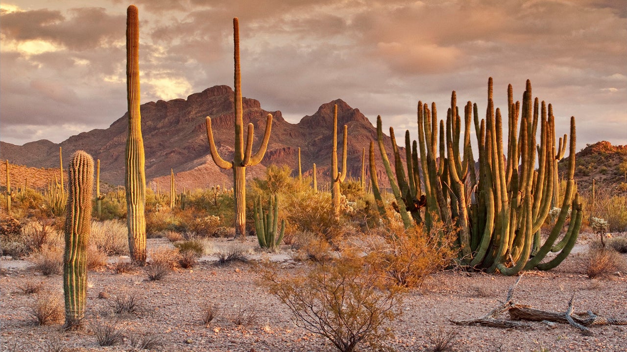 50 Incredible American National Monuments (PHOTOS)