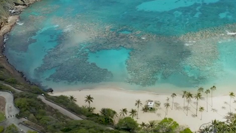 Coronavirus Lockdown Saves Popular Tourist Spot in Hawaii