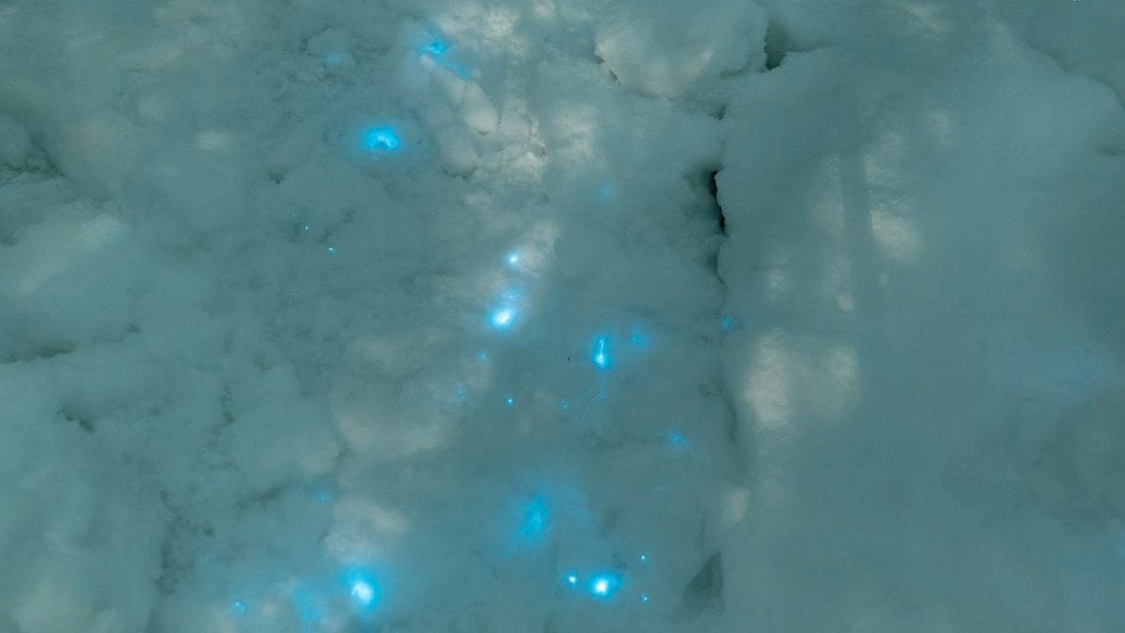 What&rsquo;s Causing This Glow in the Dark Snow?
