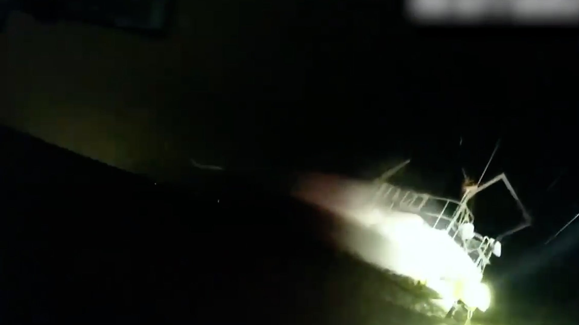 One Mushroom Your Dog Should Never Eat Thrives In Fall - Videos from