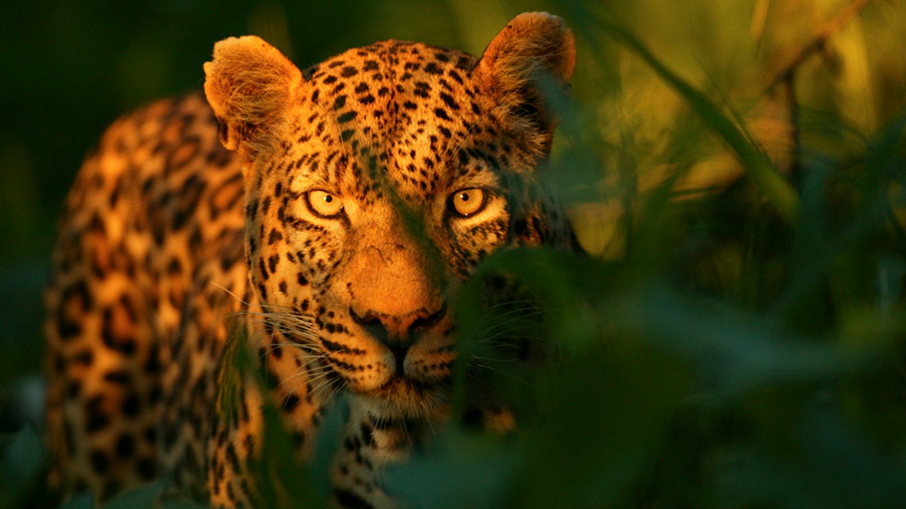 National Geographic Traveler Reveals Its 2016 Best of the World List (PHOTOS)