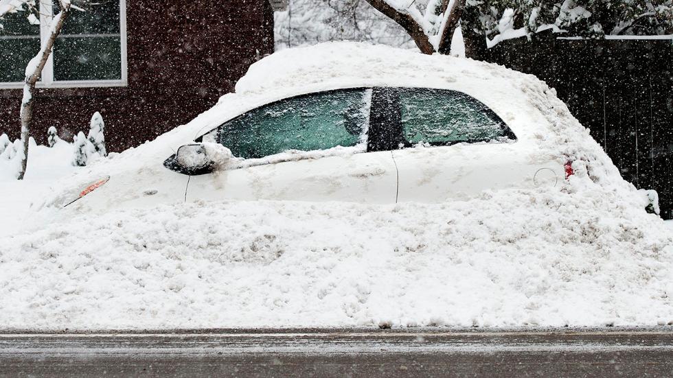 Winter Storm Echo, In Pictures