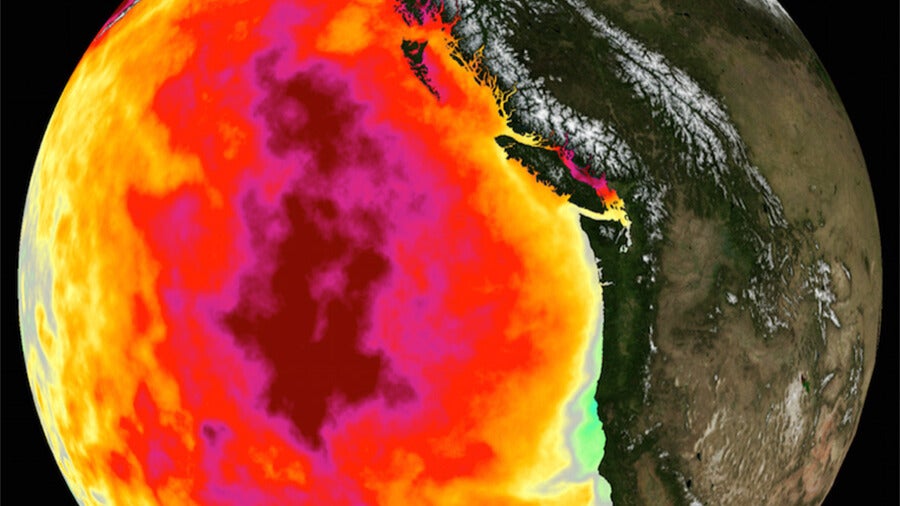 Weather Words: The Blob