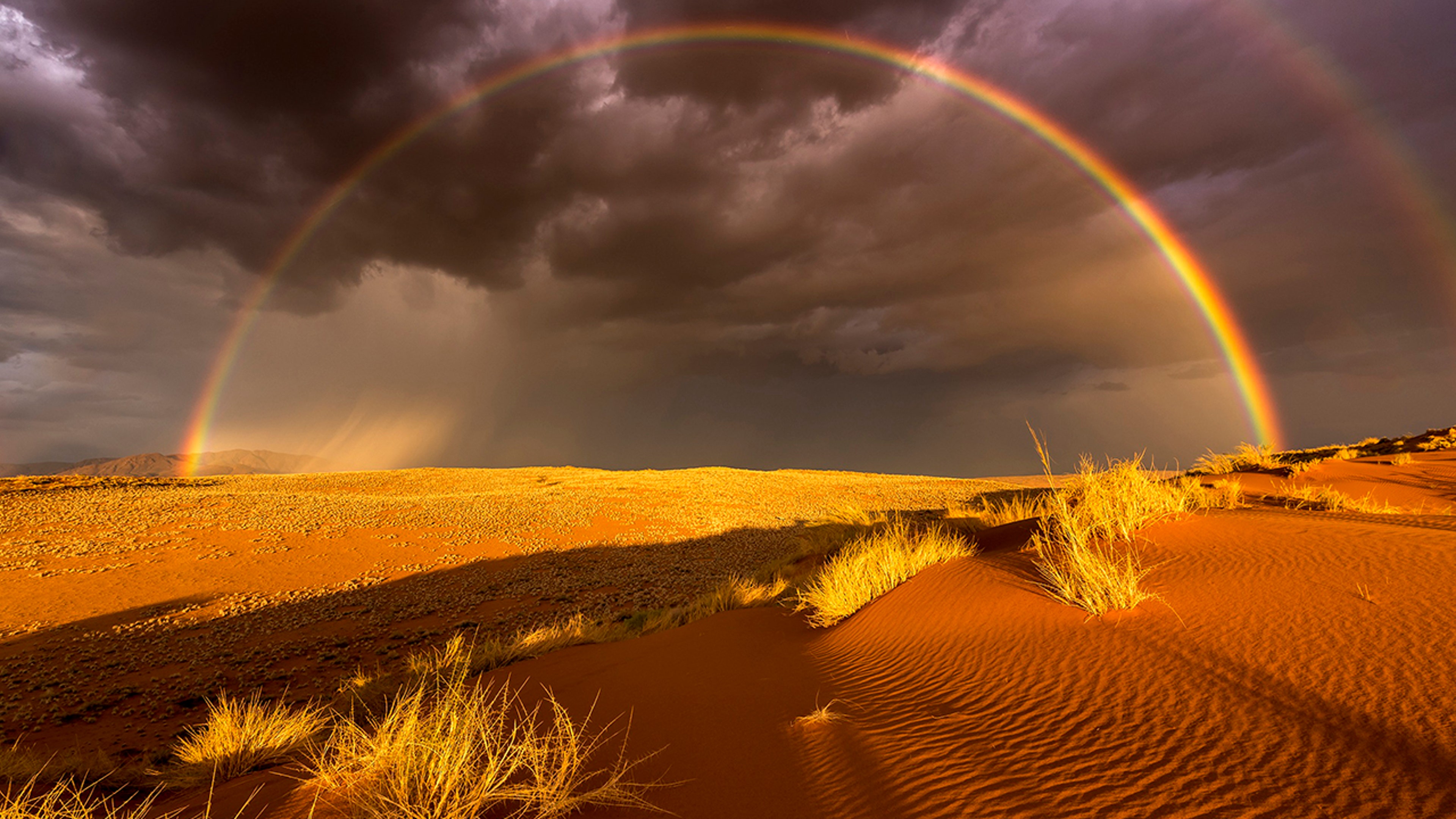 Entry: "Rain the Desert," Namibia