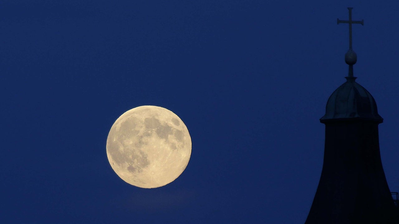 Harvest Moon 2014 What You Need