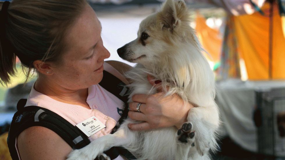 Pets and Disaster Safety Checklist