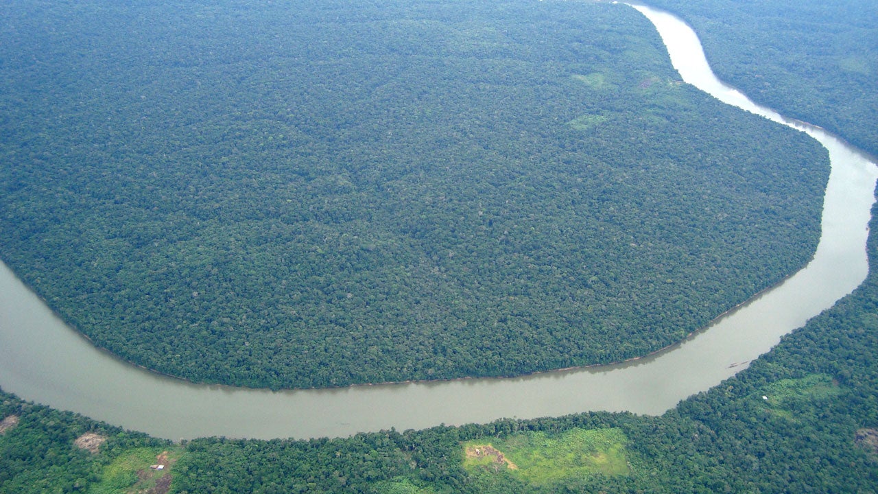 Climate Change Catch22 Could More CO2 Save the Amazon Rainforest
