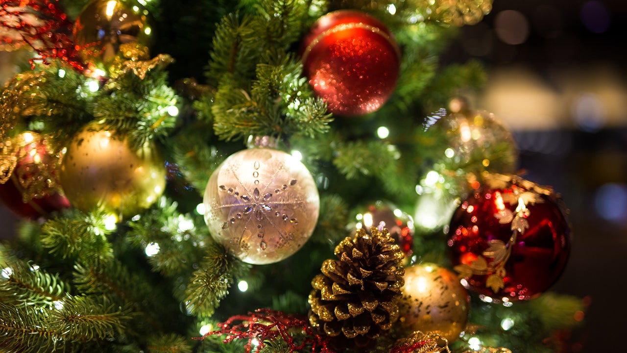 Why Your Allergies Are Bothering You During the Holidays