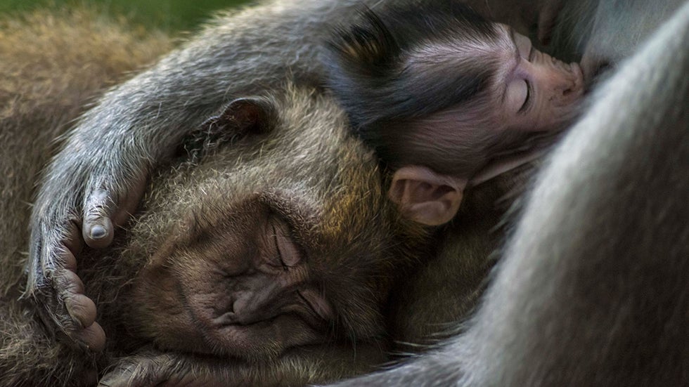 World's Best Nature Photography of 2021 (PHOTOS) 