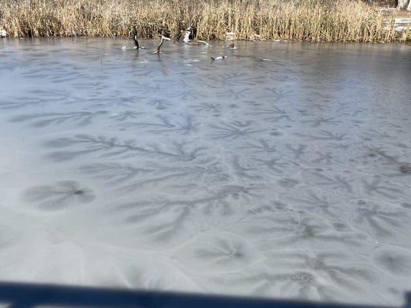 Weather Words: Lake Stars