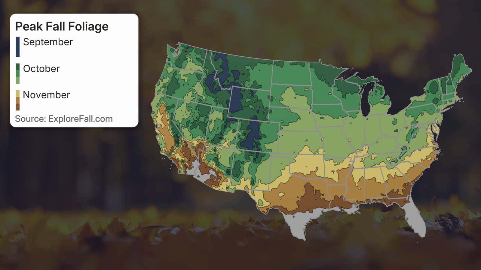 Fall Foliage Map Tracker: Current Status And Peak Times | Weather.com