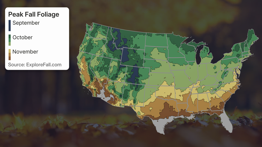 fall foliage map