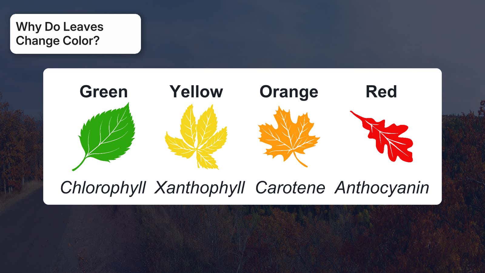 Fall Leaves: The Science Behind The Seasonal Spectacle | Weather.com