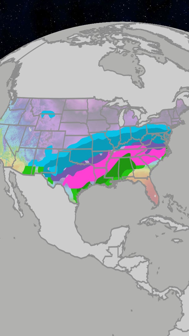 How Could Winter Storm Fern Impact You?