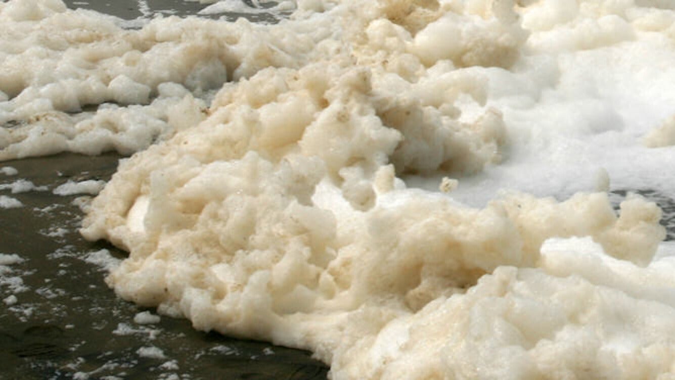 Weather Words: Seafoam