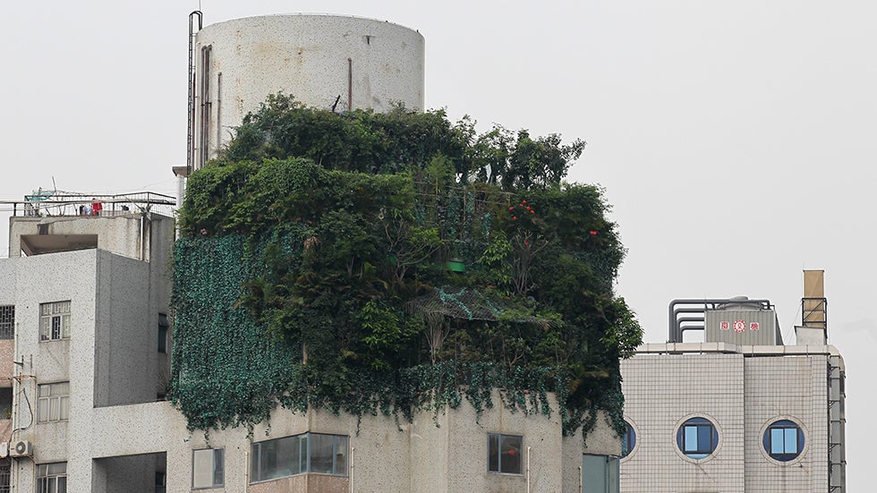 China's Stunning Penthouse Garden Is Hiding Something Illegal, According to Neighbors