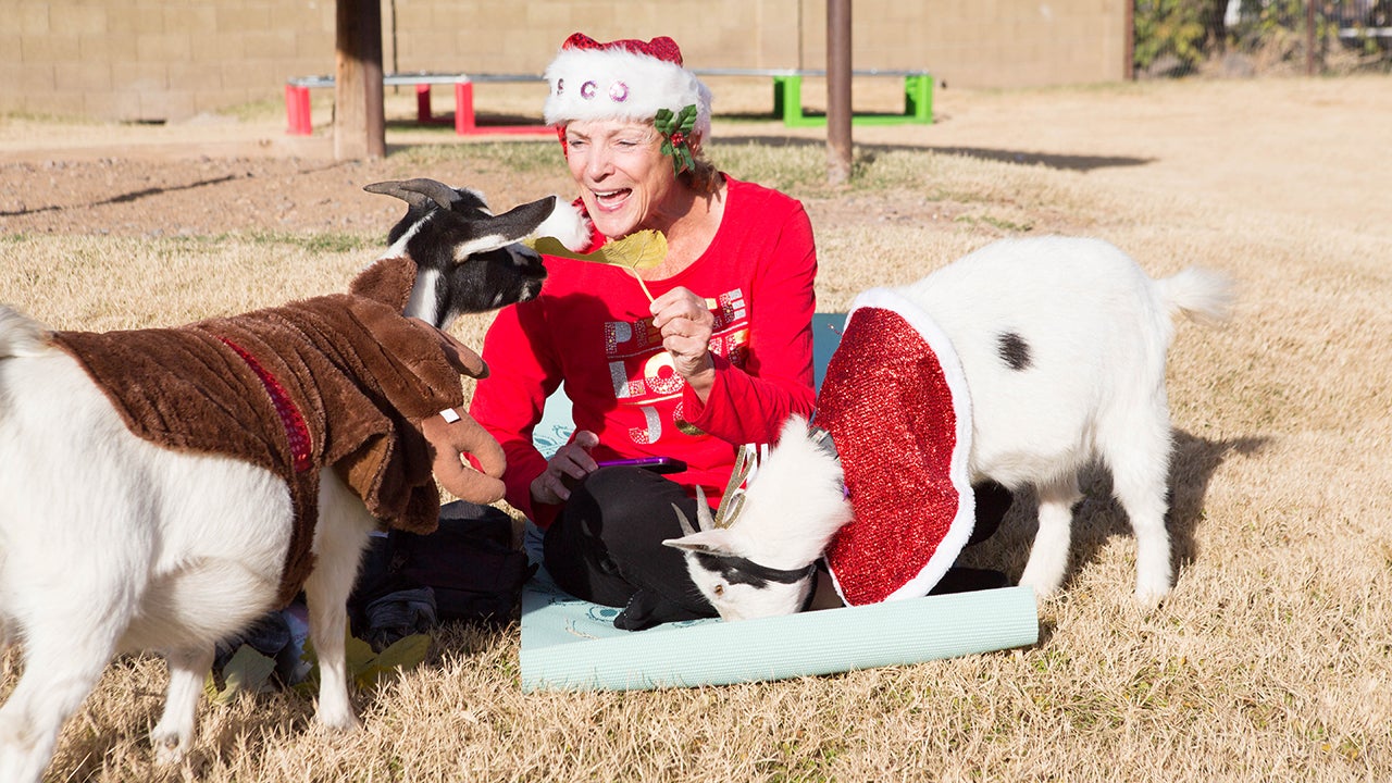 What's Better Than Yoga? Goat Yoga