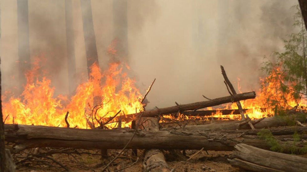 Northern Arizona Wildfire: Authorities Look for Cause of Slide Fire, Receive About 80 Tips