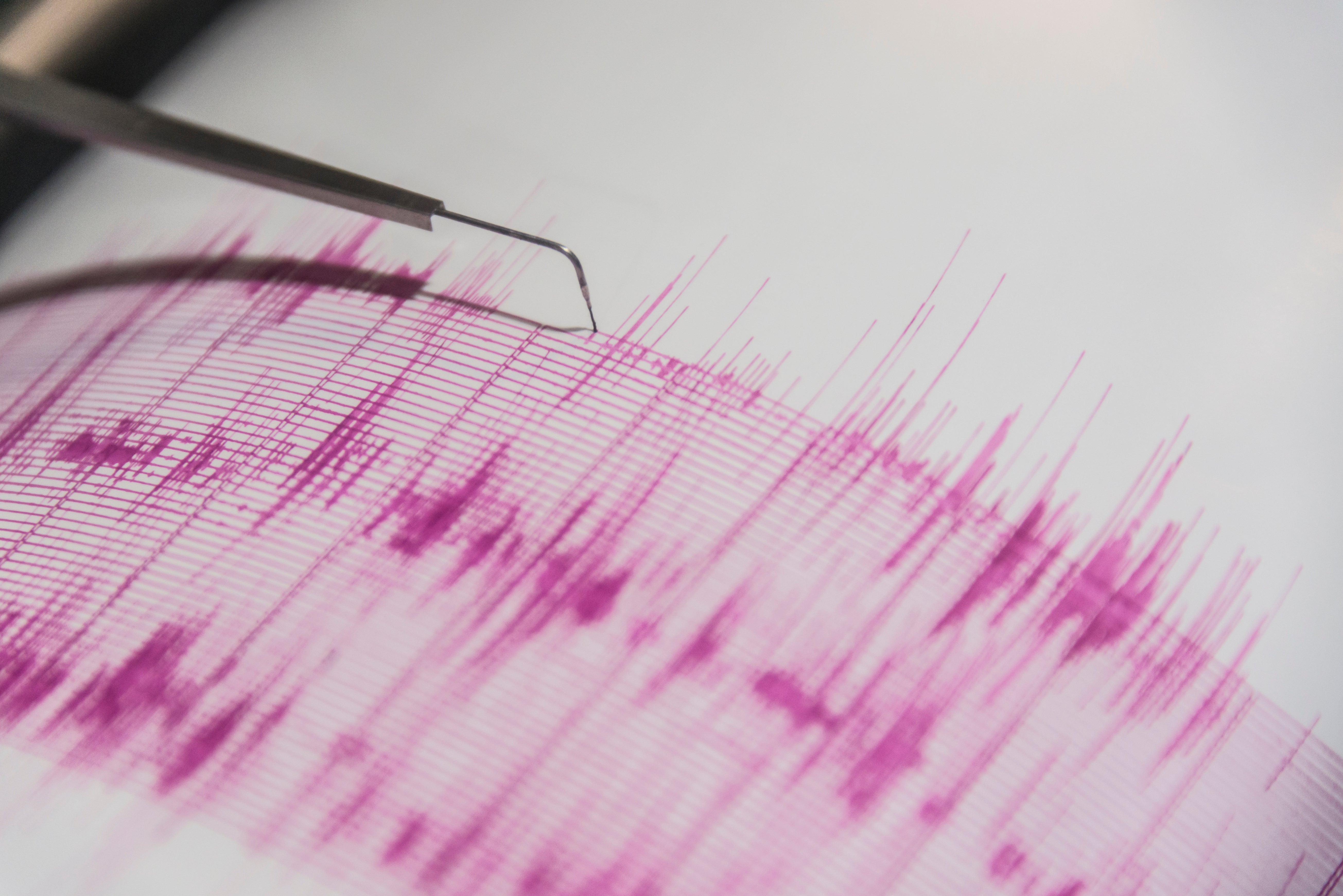Rare 7 0 Magnitude Earthquake Strikes Near Falkland Islands Weather Rare 7 0 Magnitude Earthquake Strikes Near Falkland Islands Weather