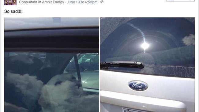 Facebook Helps Save Dog Trapped in Hot Car Outside Houston, Texas, Water Park