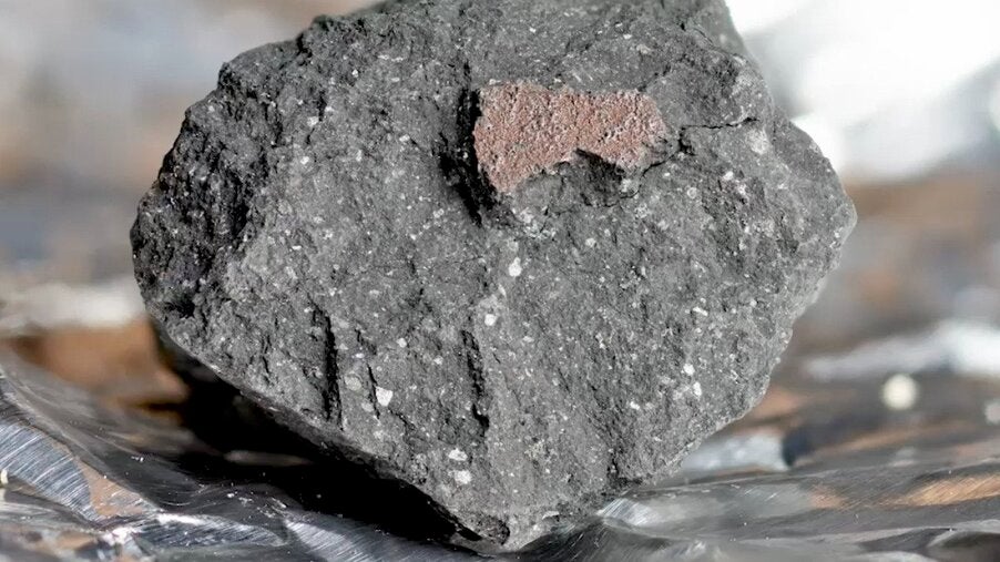 Rare Meteorite Could Contain Building Blocks of Life