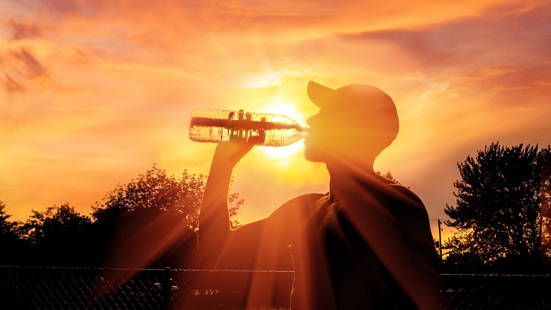 Weather Words: Heat Stress Day