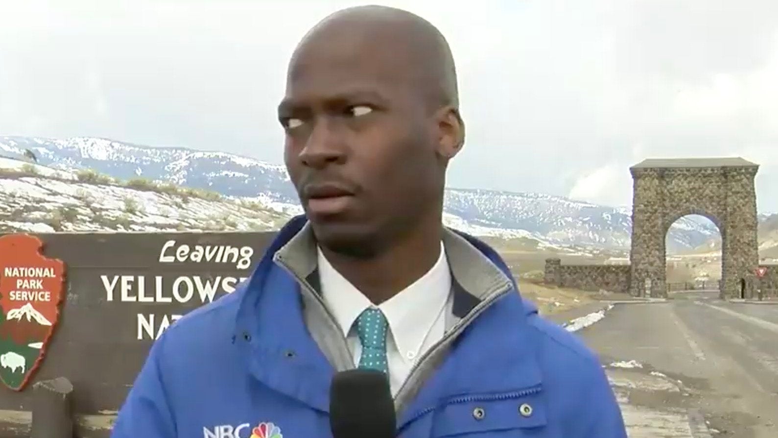 Reporter’s Reaction to Nearby Bison Is Priceless Videos from The