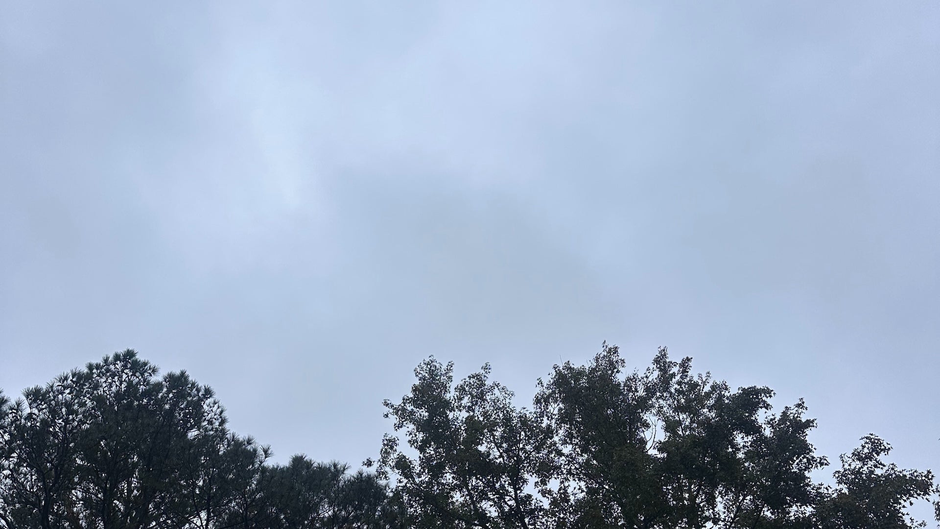 Weather Words: Wedge