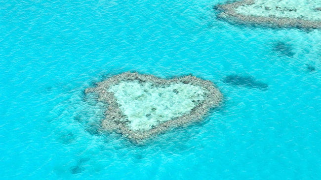Hearts in Nature (PHOTOS)