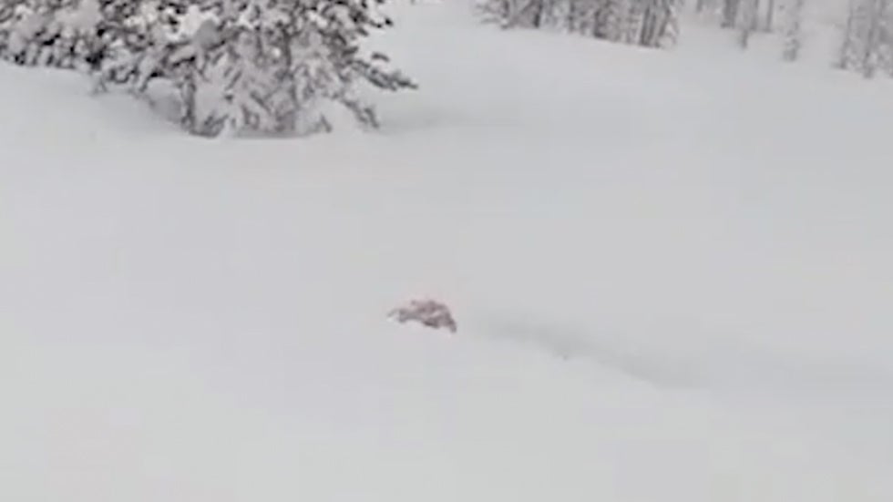 Snowmobiler Eaten by Huge Snowdrift