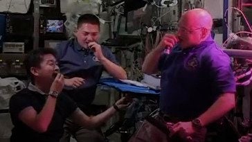 Space Lettuce Just as Good as Lettuce on Earth, Report Finds