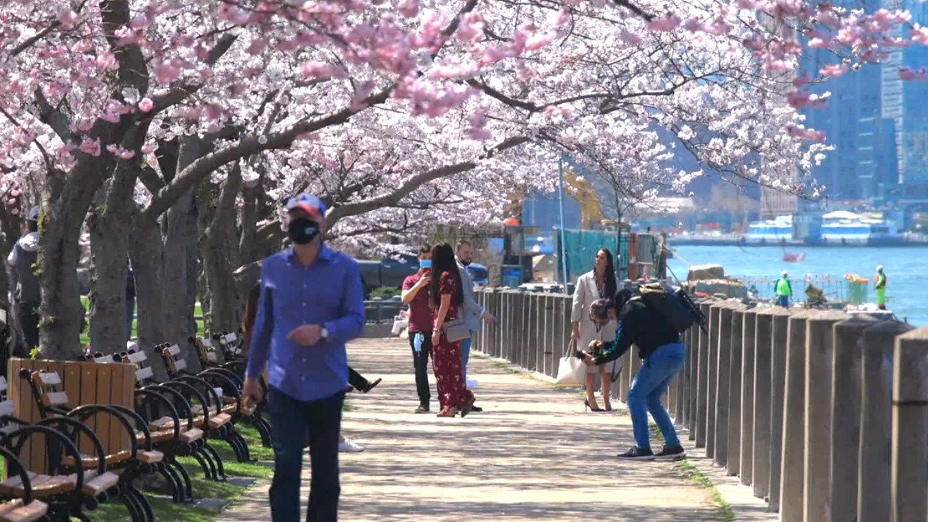 Extra Benefit to Wearing a Mask? Fewer Seasonal Allergies