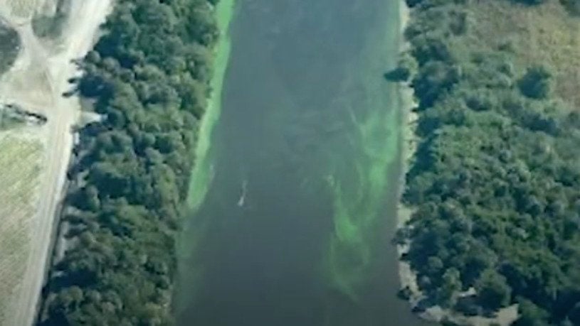 Blue-Green Algae Blooms Invading Lake Okeechobee