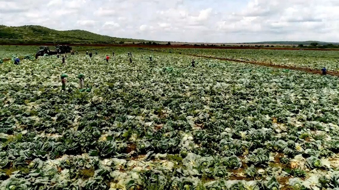 UN: Coronavirus Impacts Could Bring Famines of &lsquo;Biblical Proportions&rsquo;